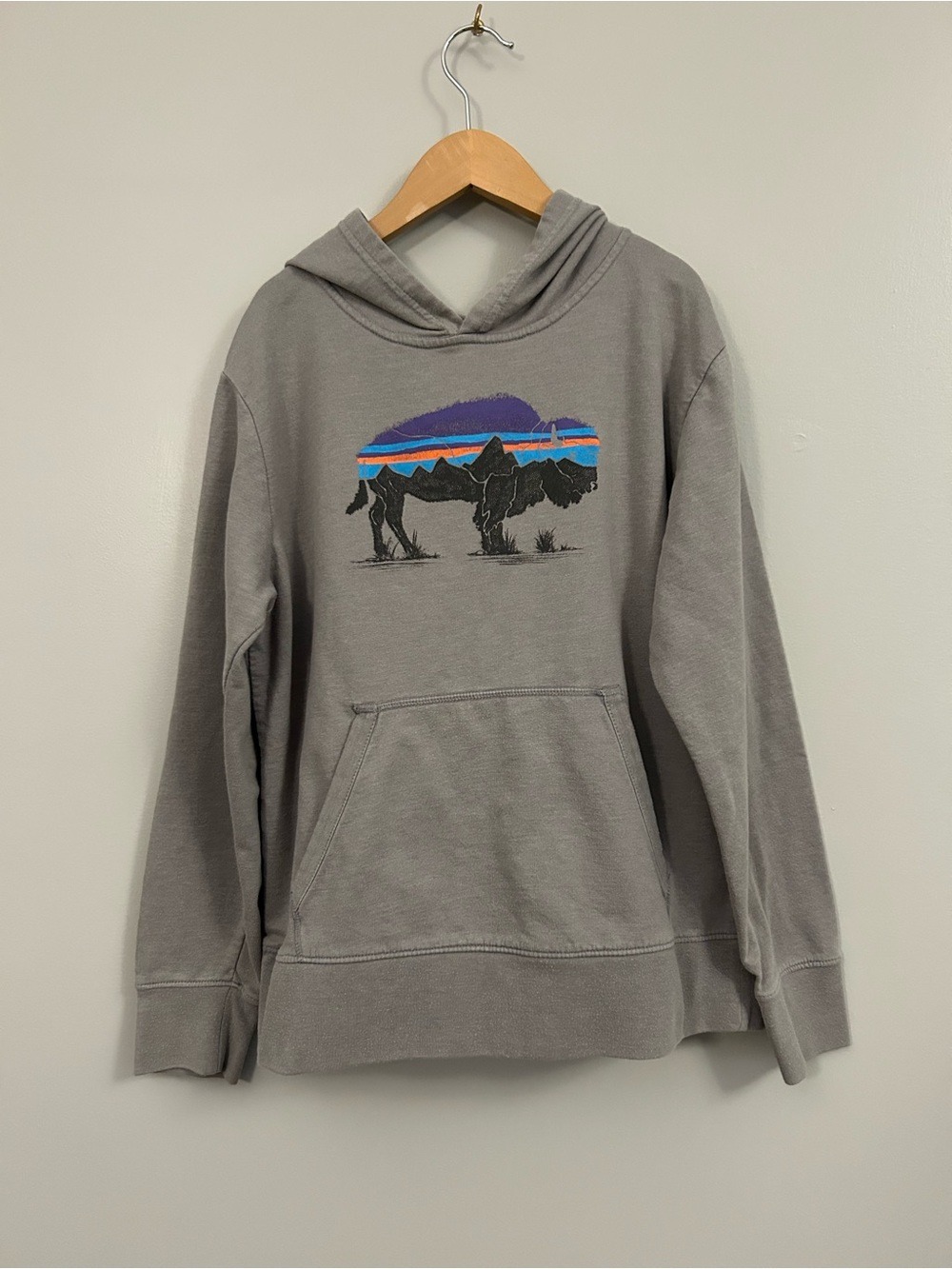 Patagonia Gray Hoodie with Multicolor Buffalo Graphic